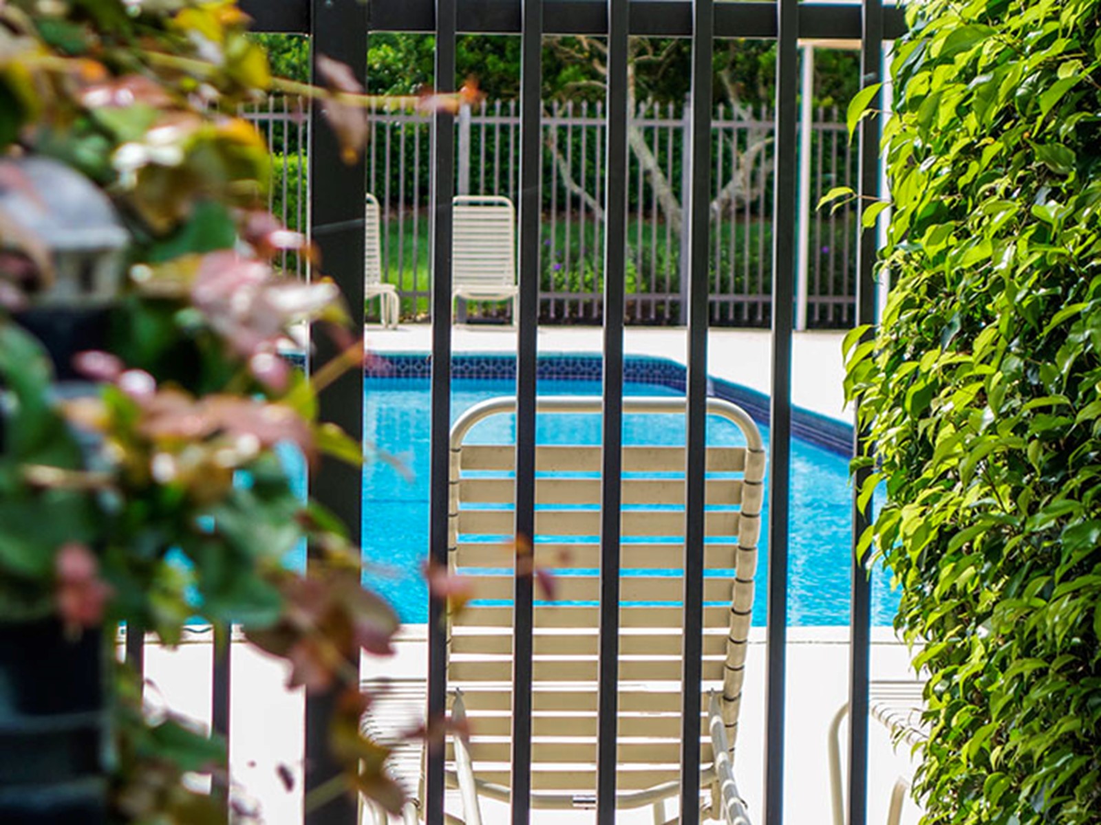 Pool behind a fence