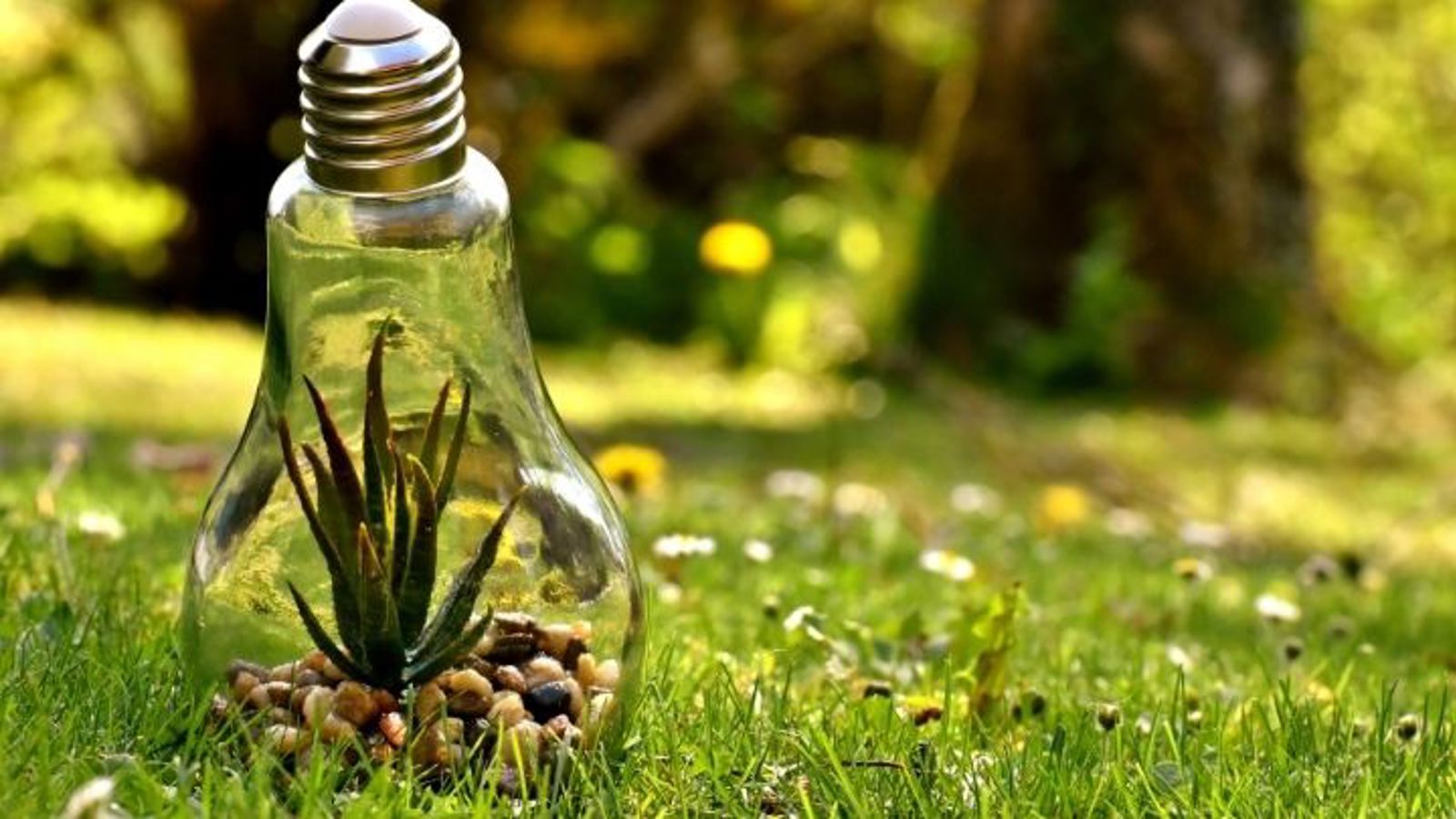 climate action framework