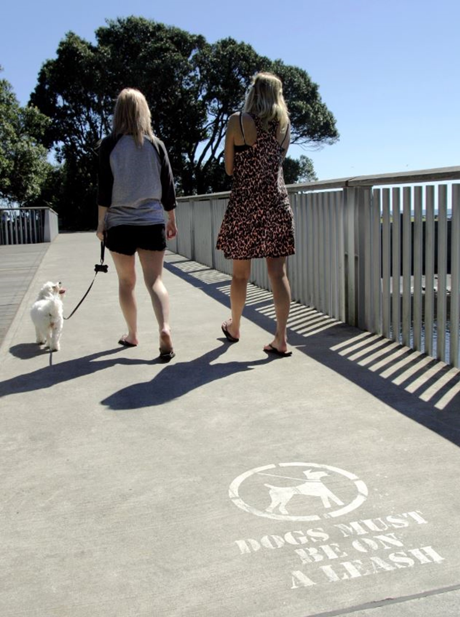 Two women walking a dog