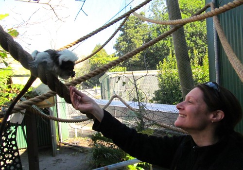 Eve - Assistant Curator