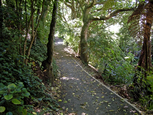 Huatoki Walkway 2012 3 Ls