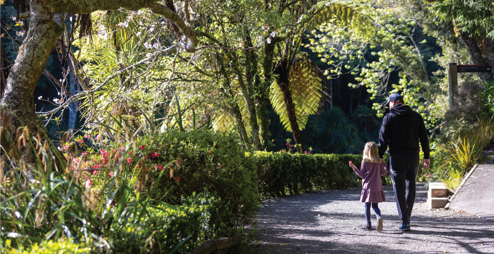 Walking in the park.