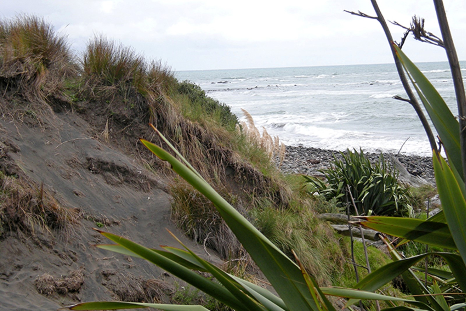 Image for Coastal Erosion Strategy