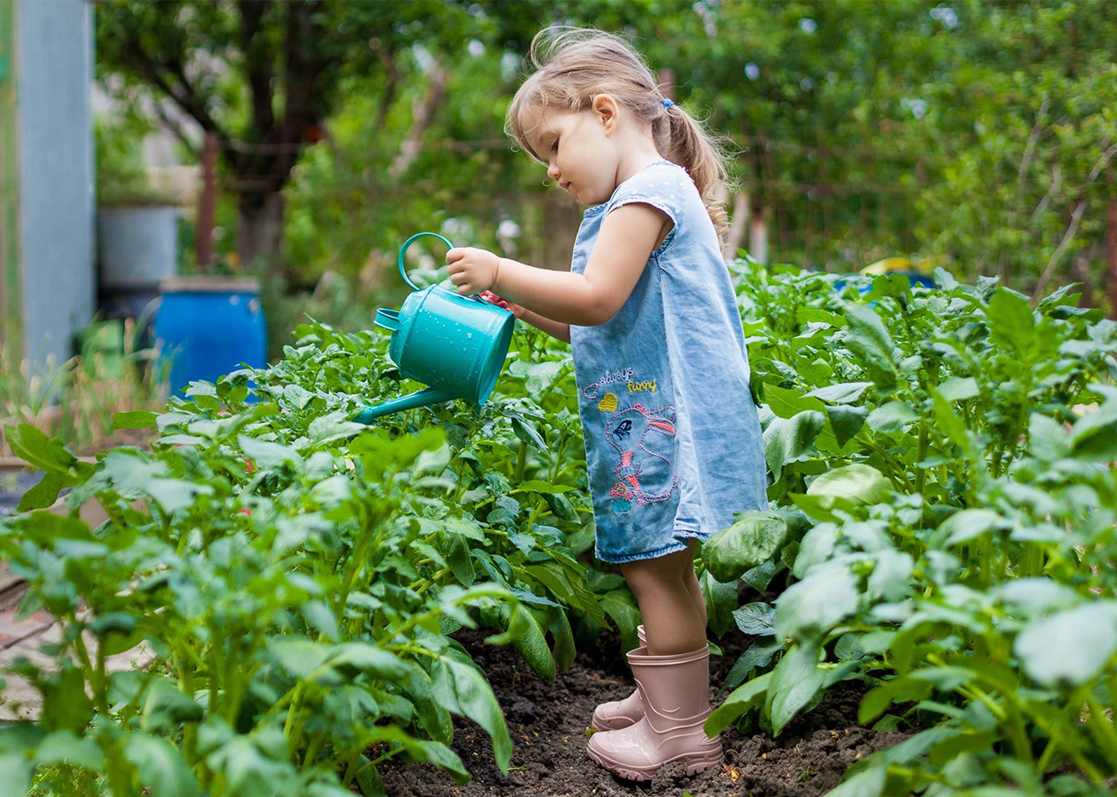 Little girl watering plants in the garden.