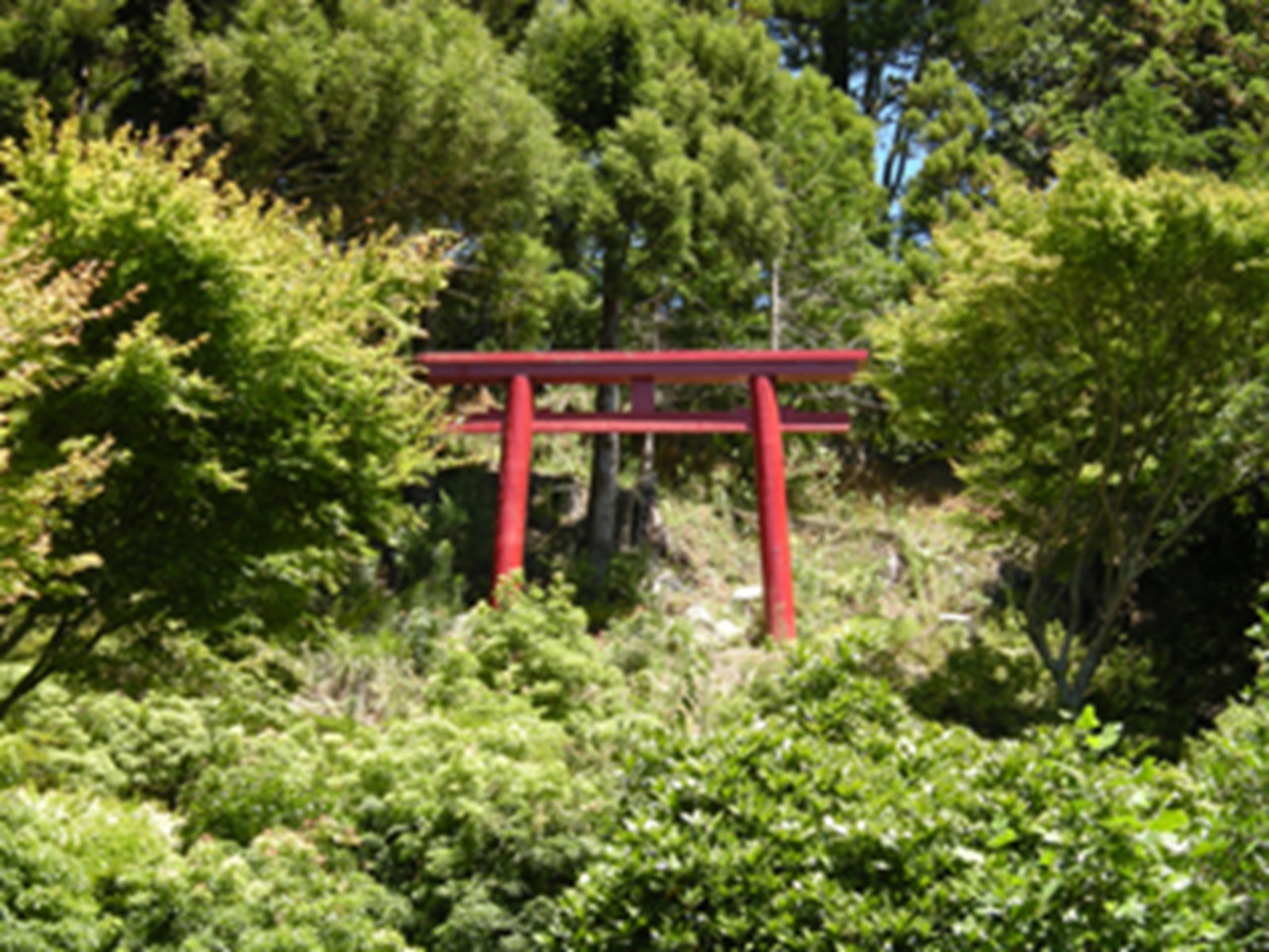 Mishima Torii gate