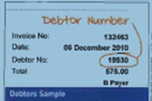 Debtor sample showing debtor number.