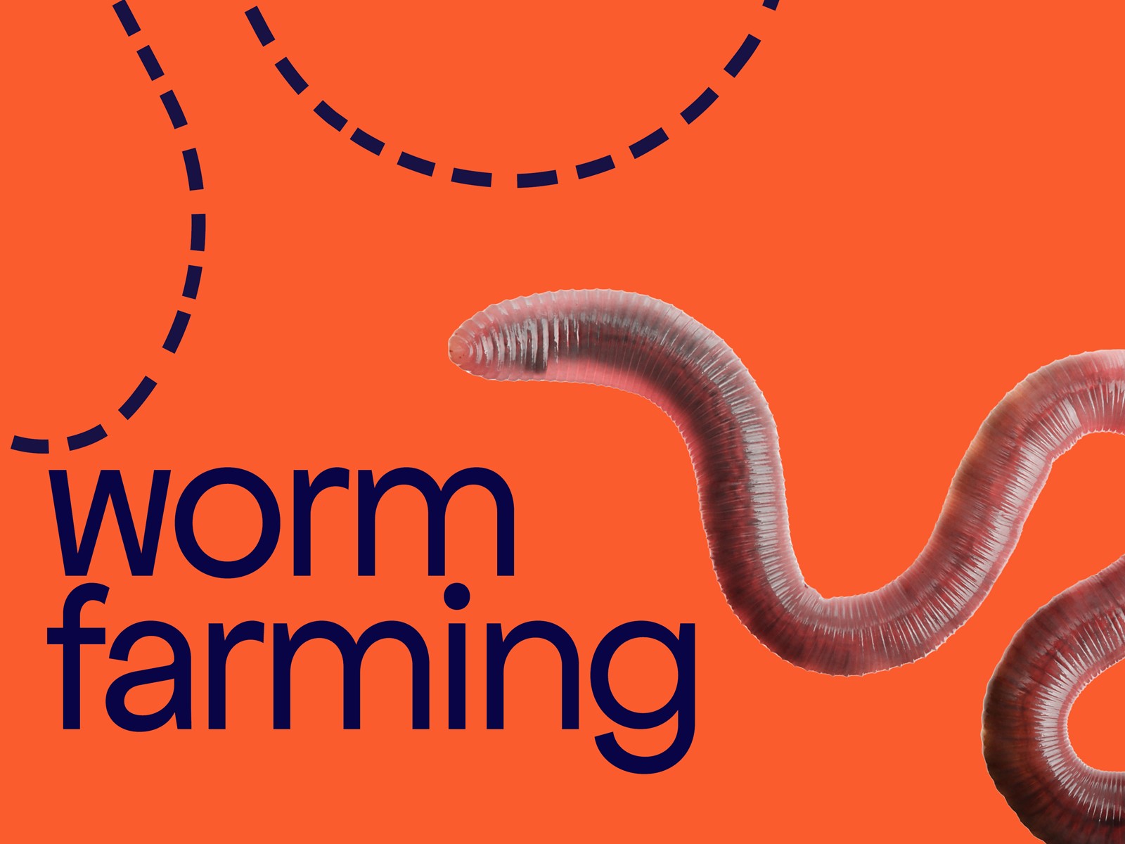 Worm farming. 