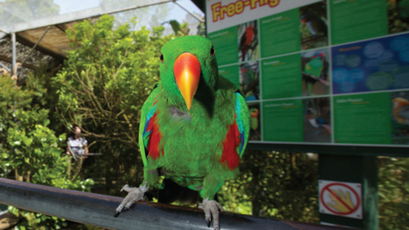Brooklands Zoo.
