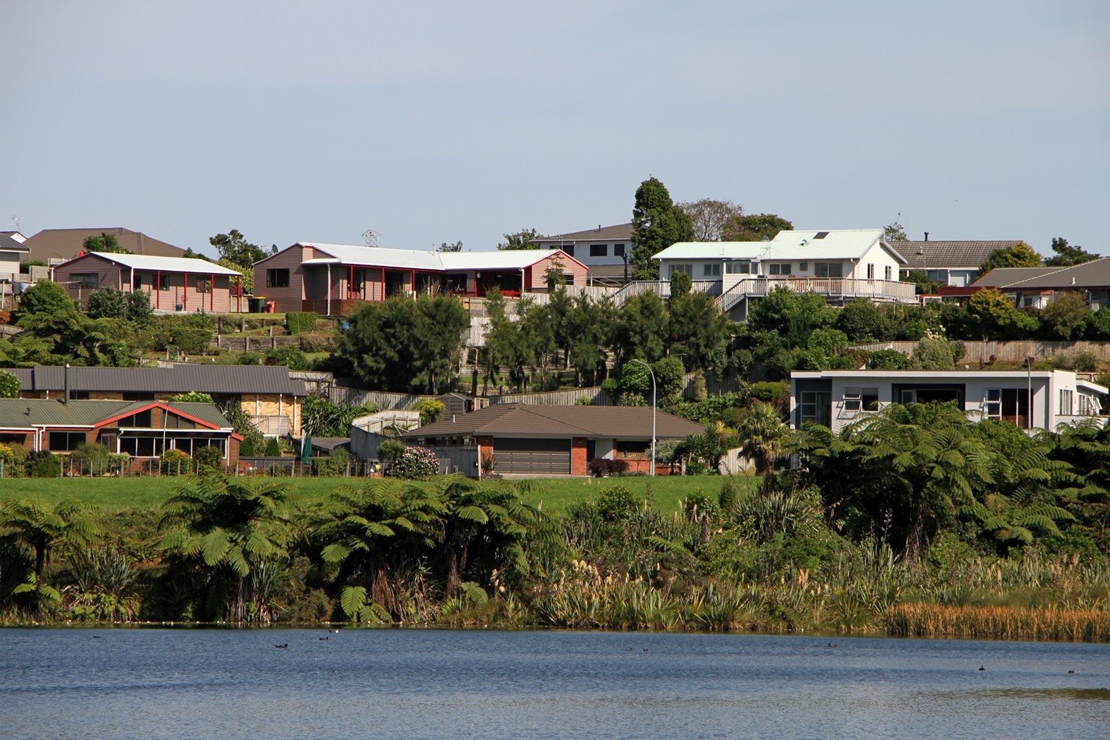 New Plymouth houses