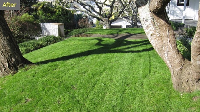 Bioboost Lawn After (2)