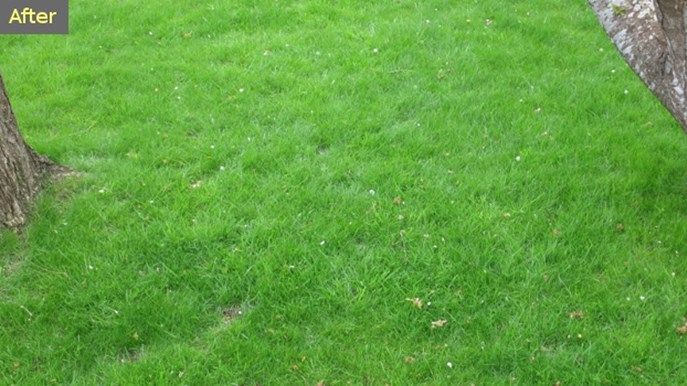 Bioboost Lawn After
