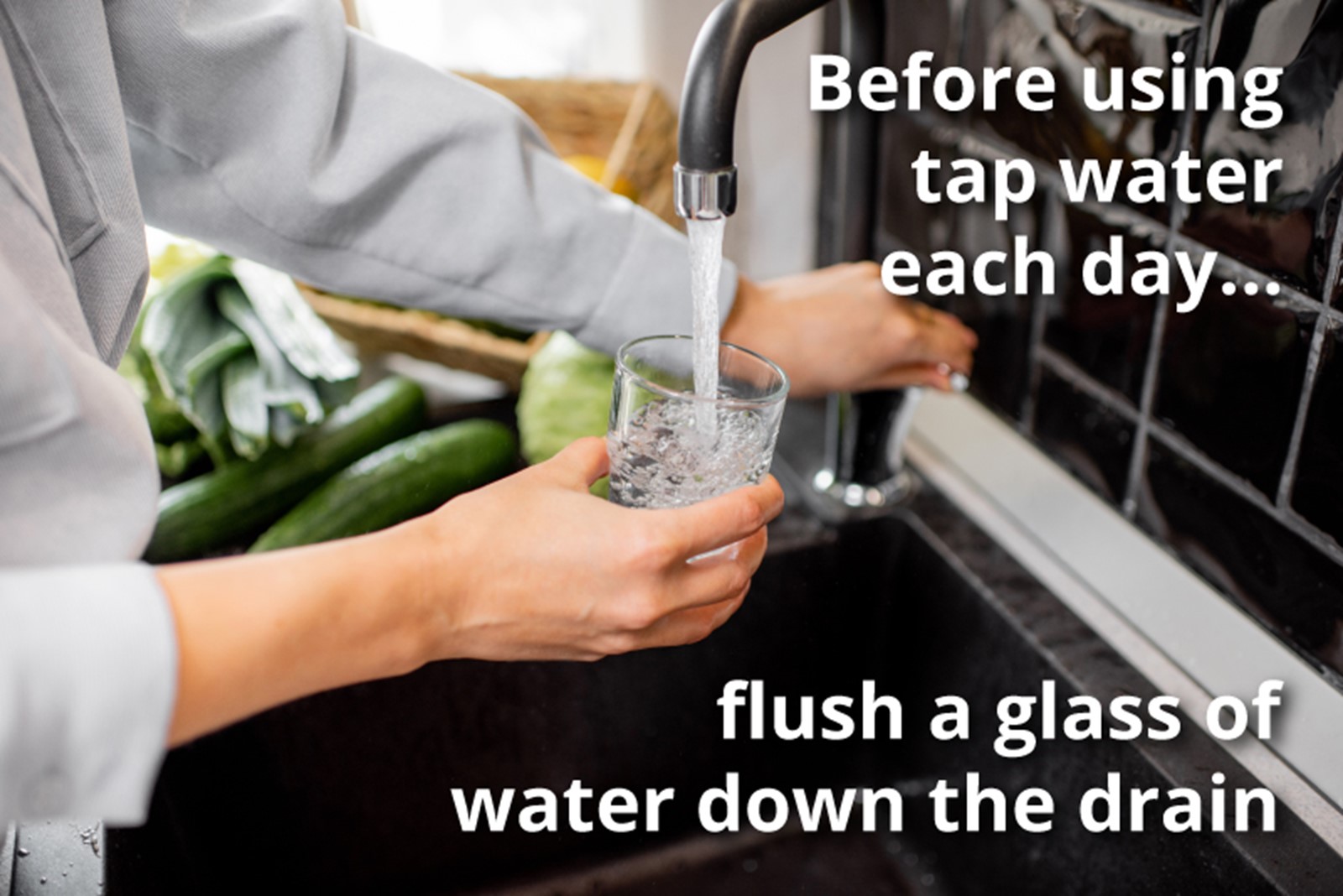 Flush your taps each morning.
