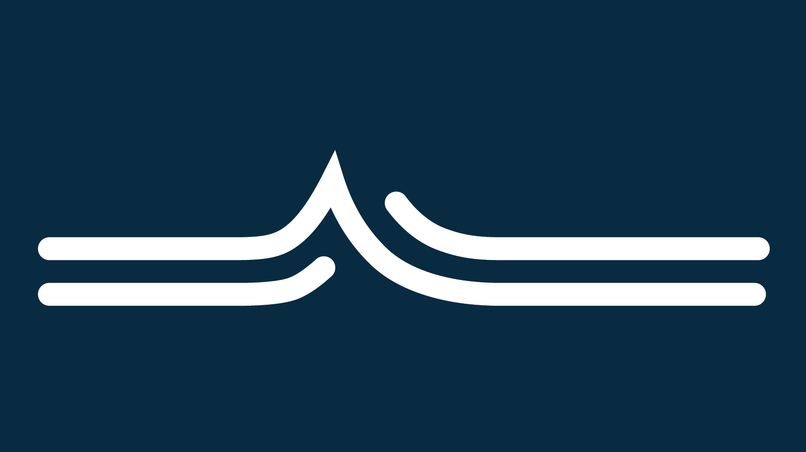 goals and principles