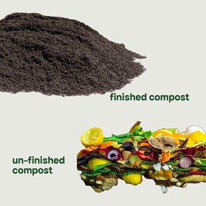 Finished versus un-finished compost. 
