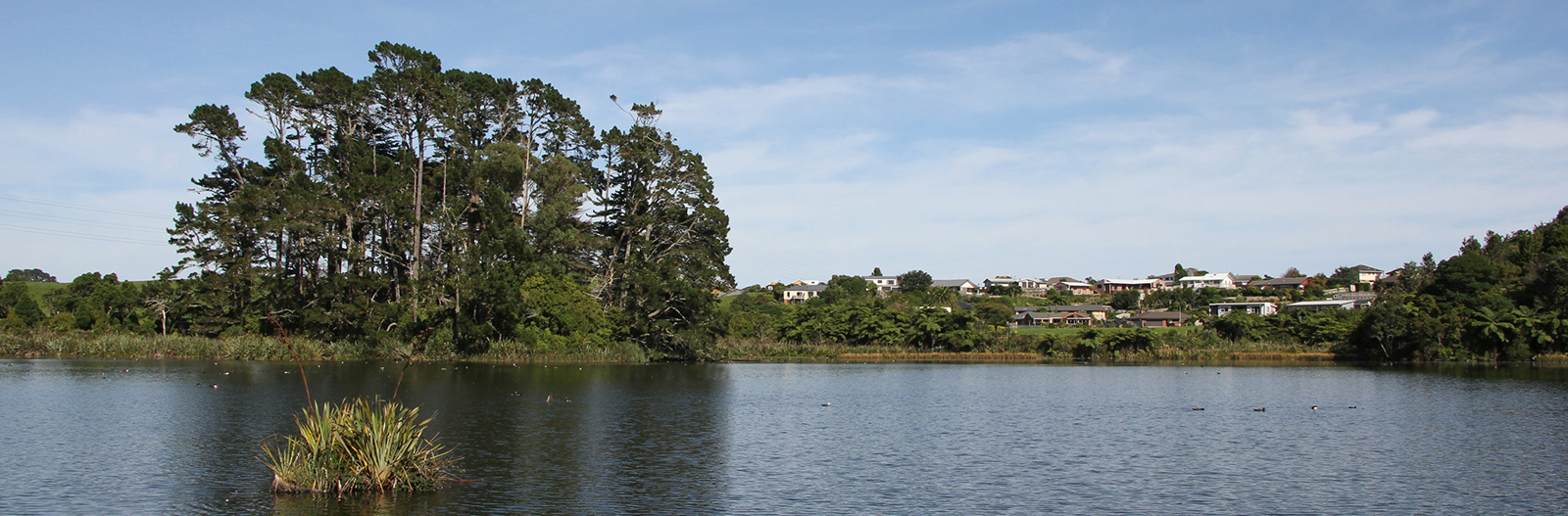 Rotokare/Barrett Domain