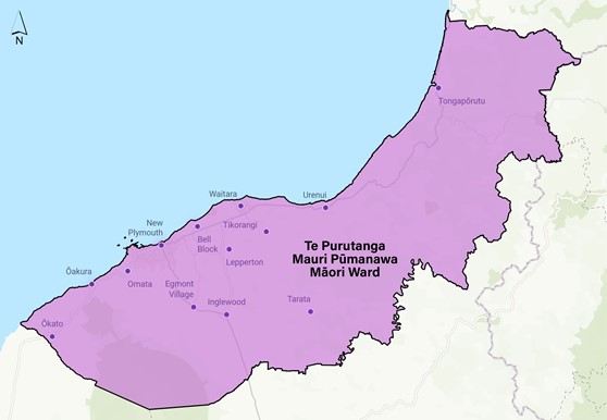 Elections 2022 Maori Ward Map (1)
