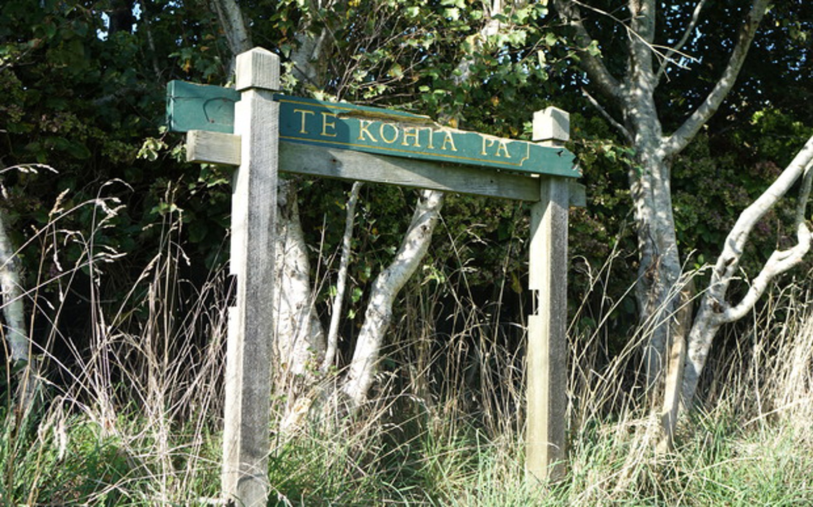 Sing for Te Kohia pā