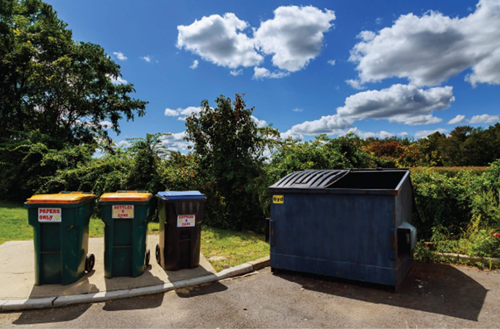 Commercial rubbish and recycling bins