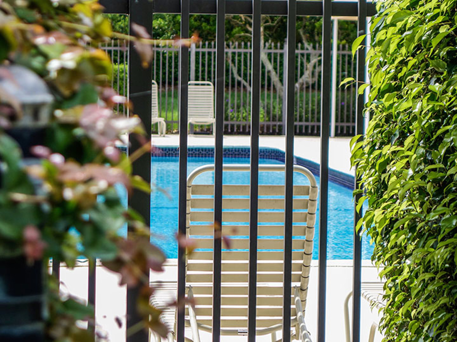 Pool behind a fence