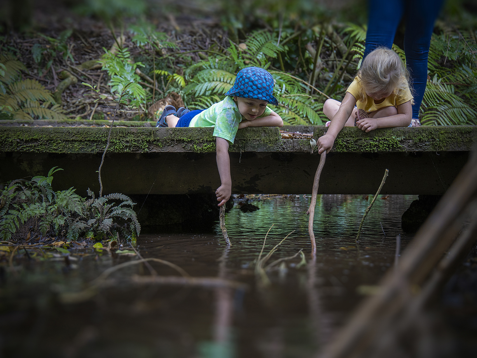 Children in Pukekura Park