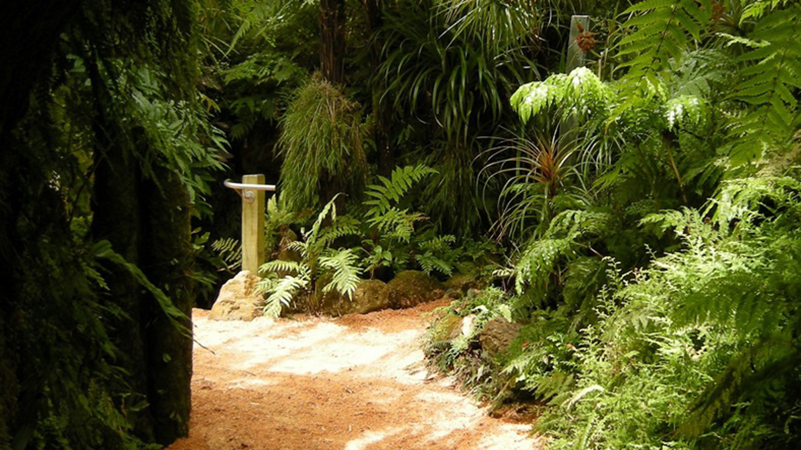 Fernery tunnel entrance. 