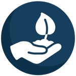 A green and healthy city centre