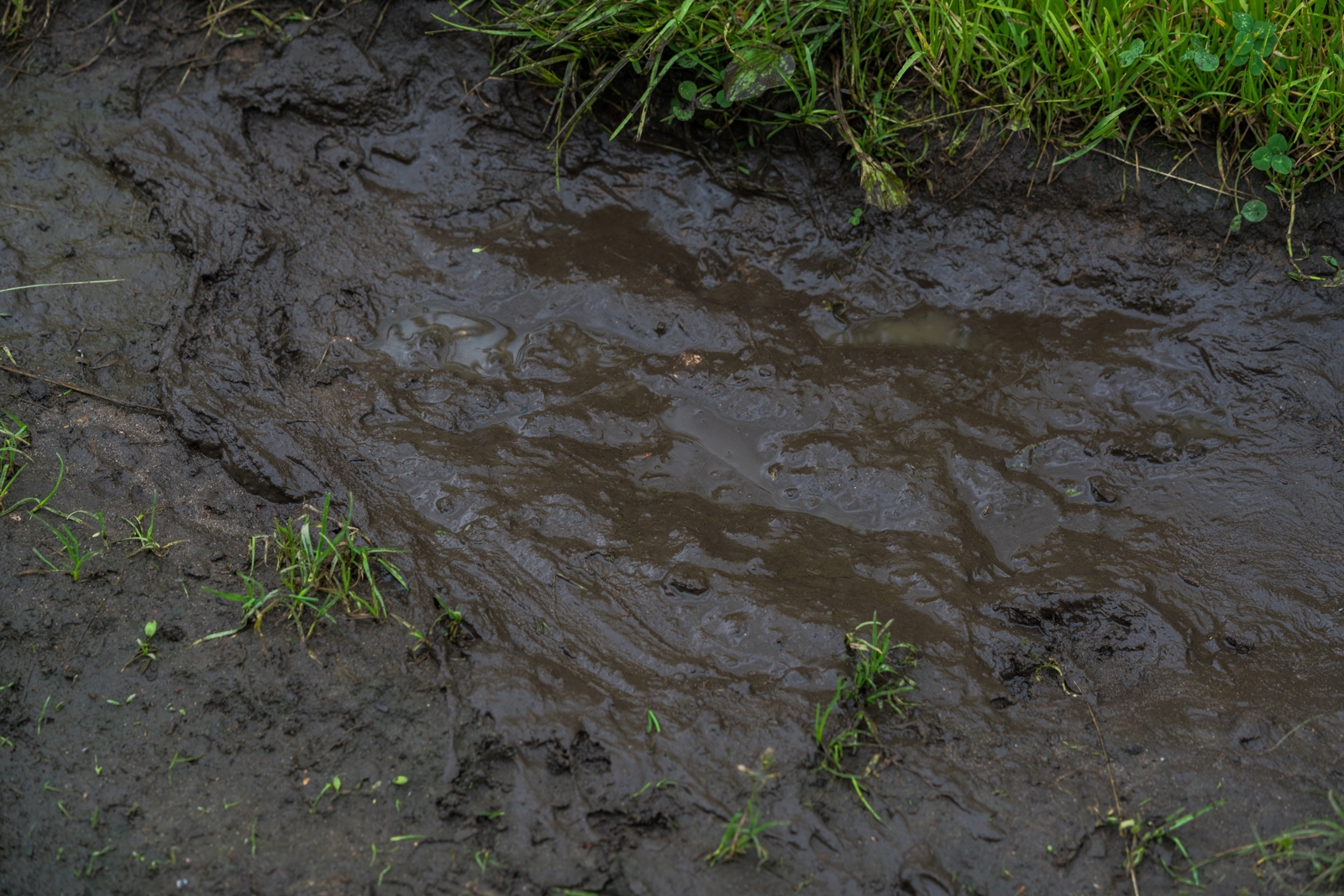 Mud after rain