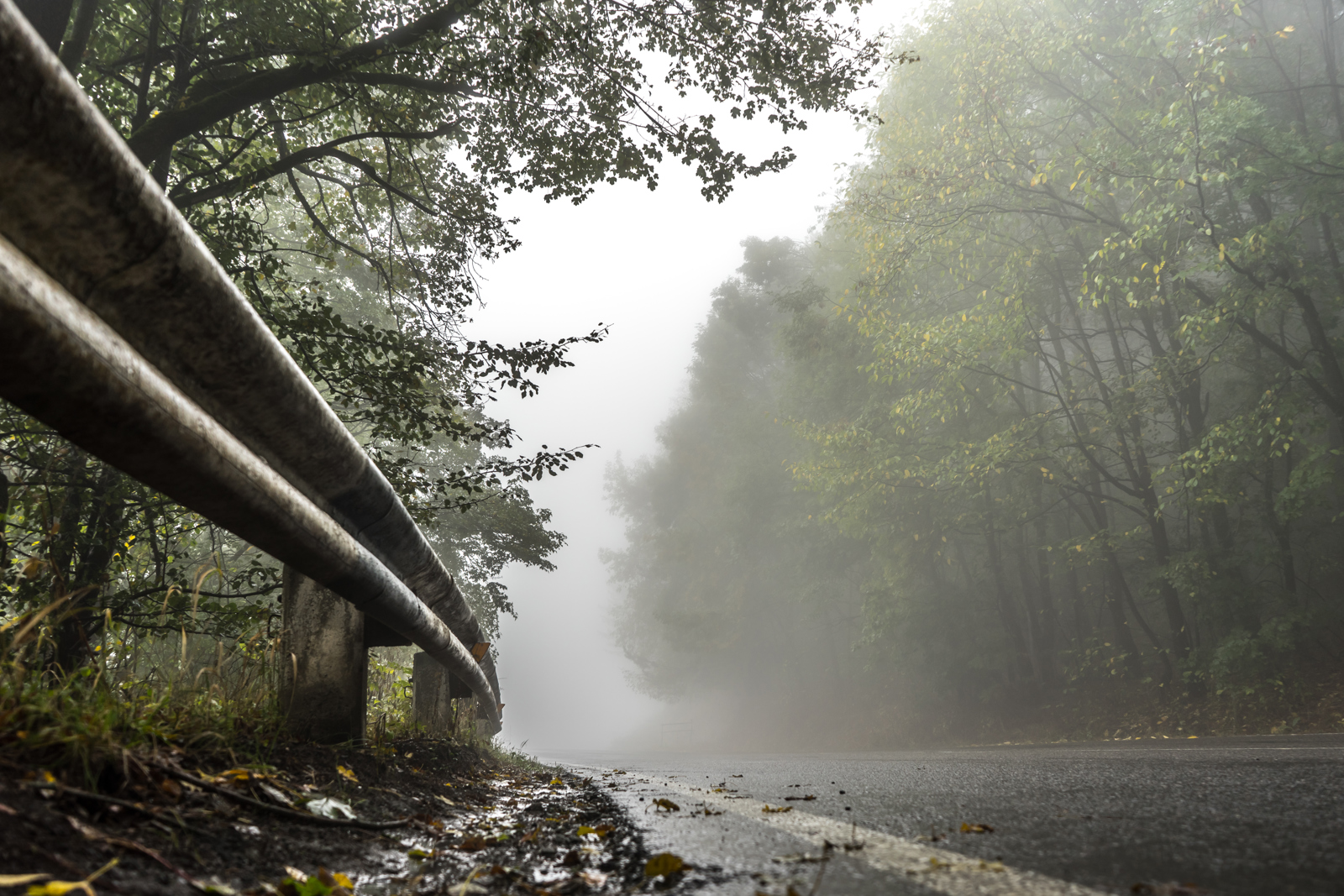 Road fence