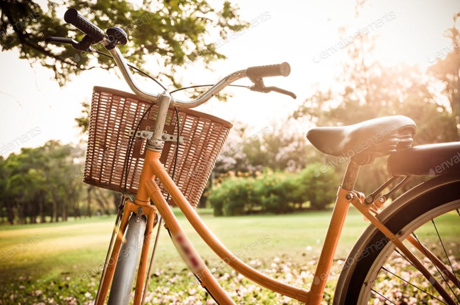 Classic Bicycle at sunset in the park