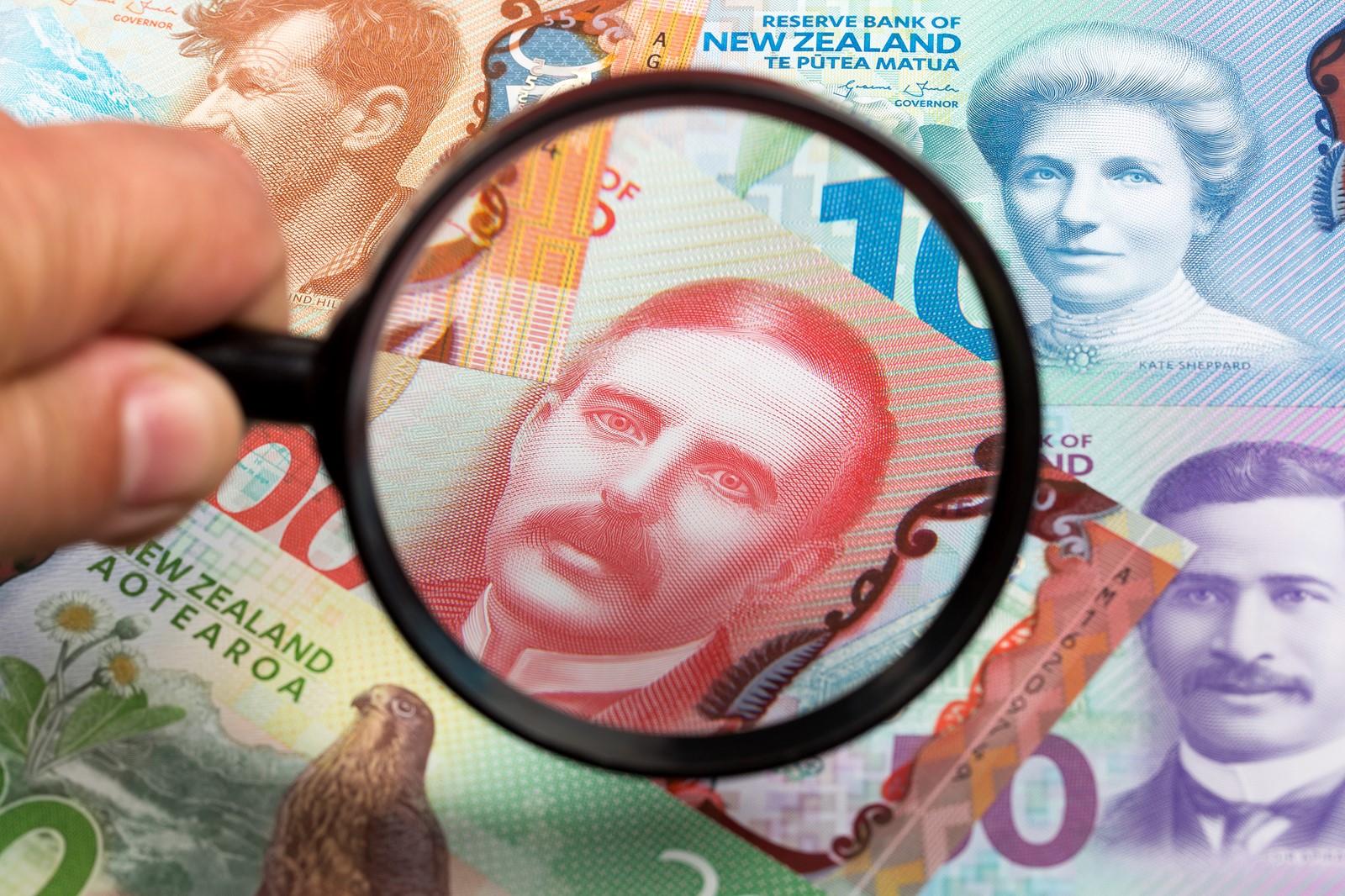 New Zealand Dollars in-a magnifying glass