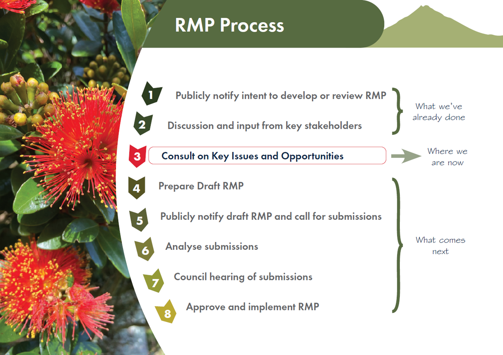 Pukekura Park management plan process
