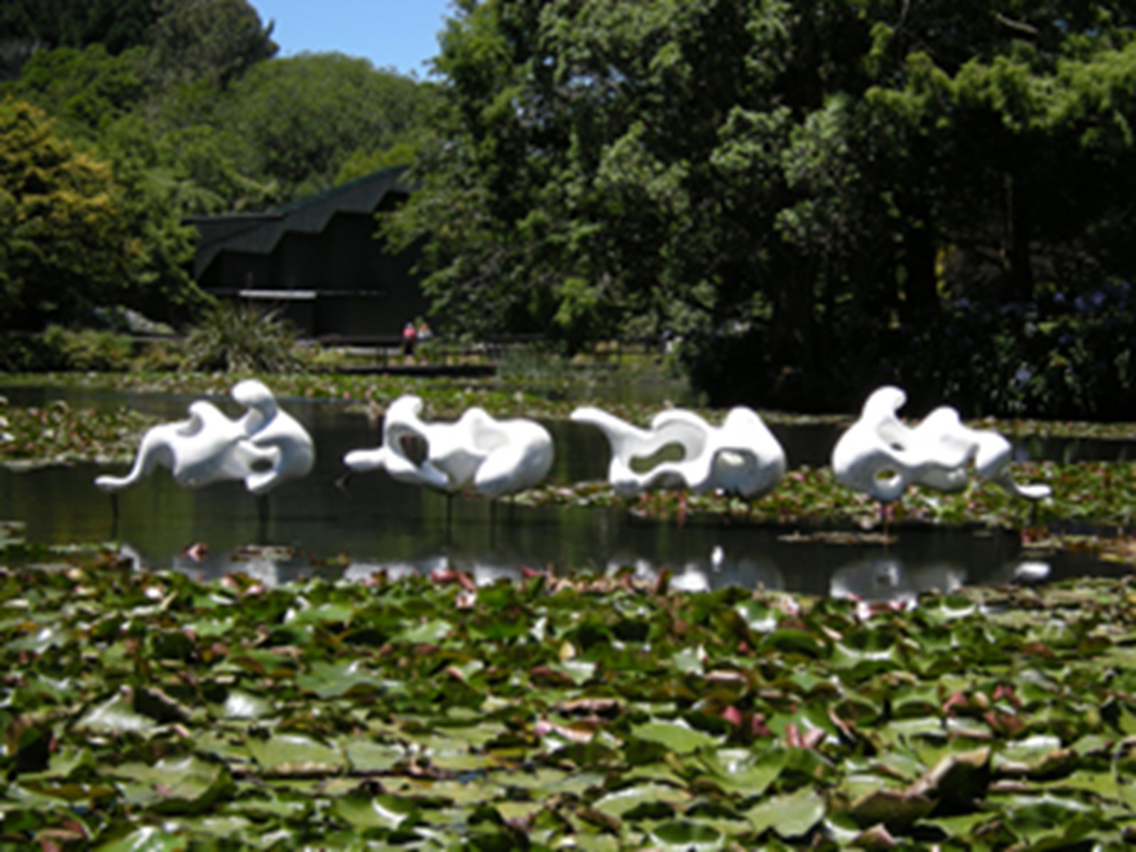 Water Lily Lake and Aotearoa Sculpture
