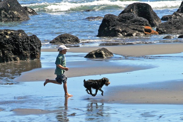 boy and dog on beach