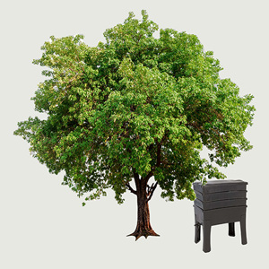 Location of worm farm.