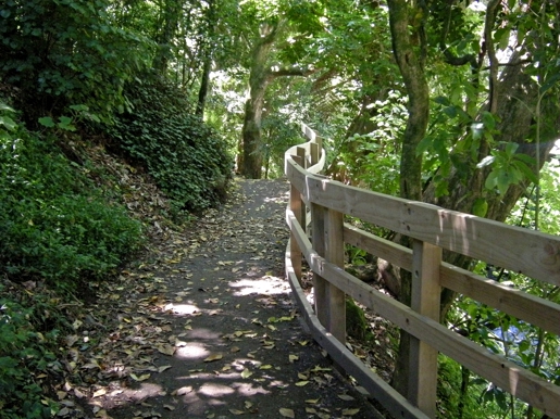 Huatoki Walkway 2012 2 Ls